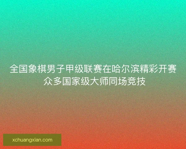 全国象棋男子甲级联赛在哈尔滨精彩开赛 众多国家级大师同场竞技